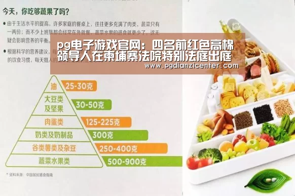 pg电子游戏官网:四名前红色高棉领导人在柬埔寨法院特别法庭出庭受审(图2) pg电子入口官网