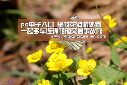 pg电子入口_攀枝花消防处置一起多车连环相撞交通事故救援(图2) pg电子入口