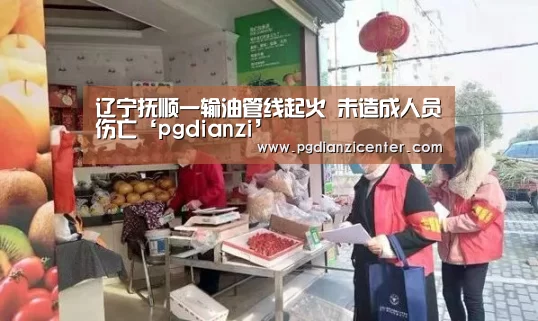 辽宁抚顺一输油管线起火 未造成人员伤亡‘pgdianzi’(图1) pg电子入口官网