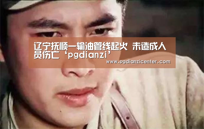 辽宁抚顺一输油管线起火 未造成人员伤亡‘pgdianzi’(图3) pg电子入口