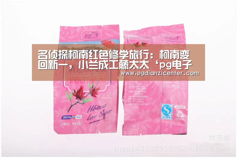 pg电子入口官网