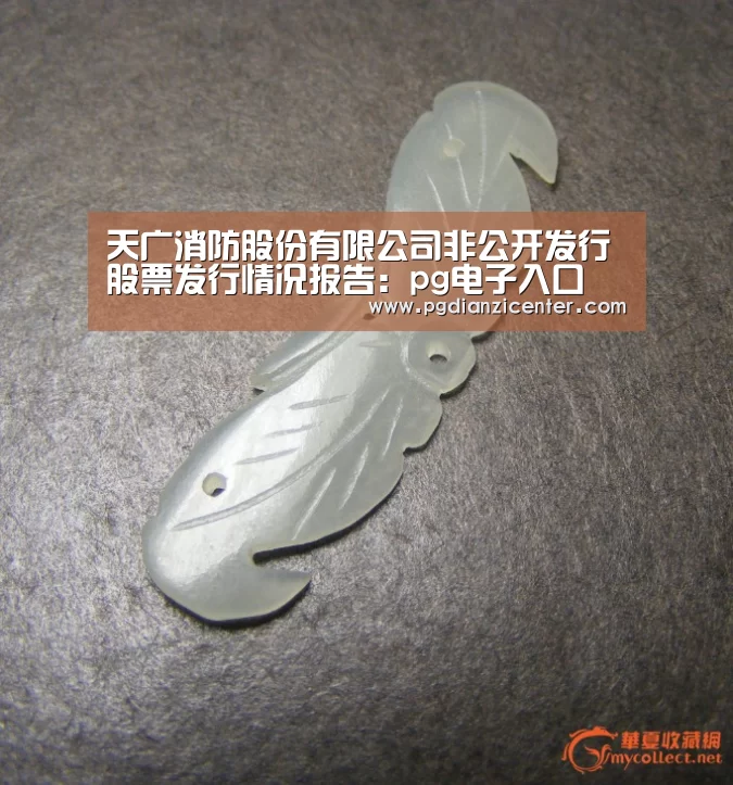 天广消防股份有限公司非公开发行股票发行情况报告:pg电子入口(图1) pg电子入口官网
