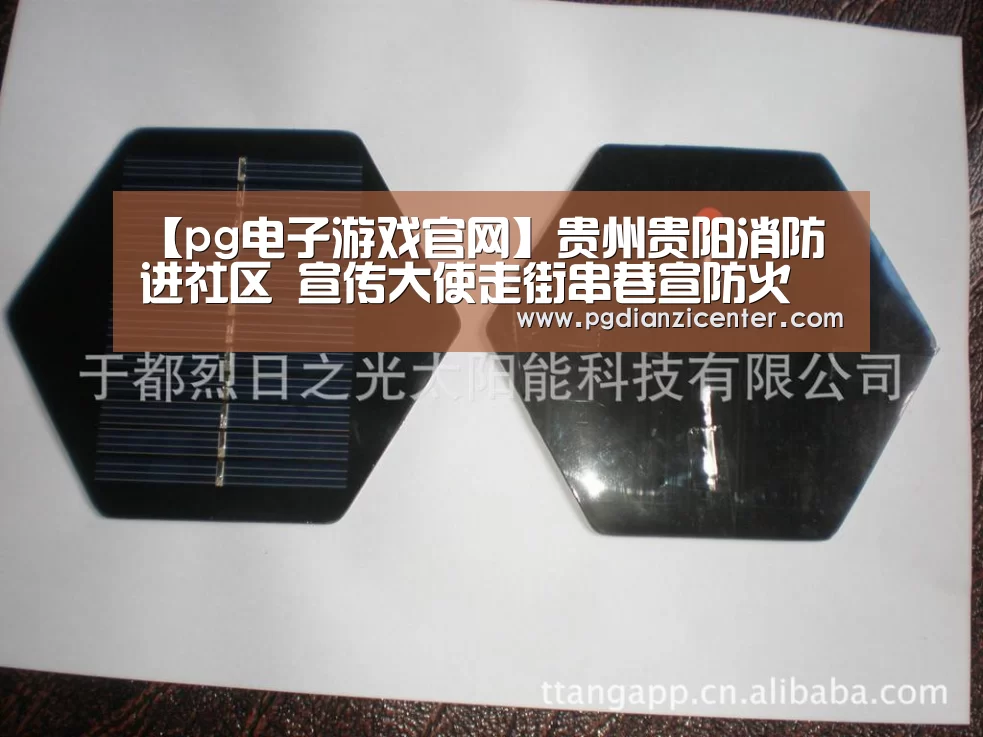 【pg电子游戏官网】贵州贵阳消防进社区 宣传大使走街串巷宣防火(图3) pg电子游戏官网