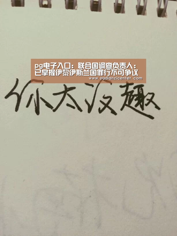 pg电子入口:联合国调查负责人:已掌握伊黎伊斯兰国罪行不可争议的证据基础(图2) pg电子入口官网