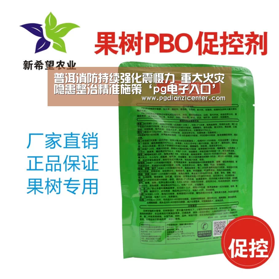 pg电子游戏官网